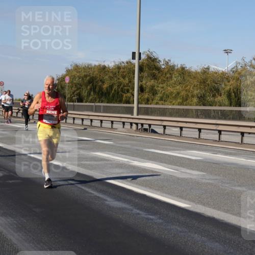 03.10.2025 - Köhlbrandbrückenlauf Julia Fischer http://msf.ph/oto/9011214 03.10.2025 12:58:37 Position 3  meine-sportfotos.de