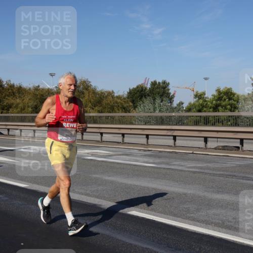 03.10.2025 - Köhlbrandbrückenlauf Julia Fischer http://msf.ph/oto/9011221 03.10.2025 12:58:39 Position 3  meine-sportfotos.de