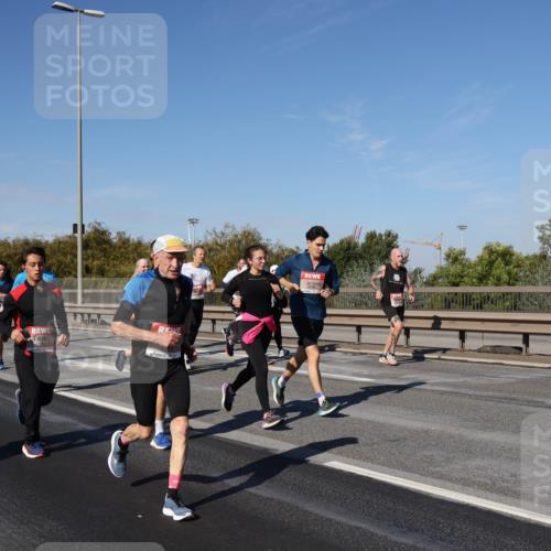 03.10.2025 - Köhlbrandbrückenlauf Julia Fischer http://msf.ph/oto/9011264 03.10.2025 12:58:47 Position 3 5025 meine-sportfotos.de