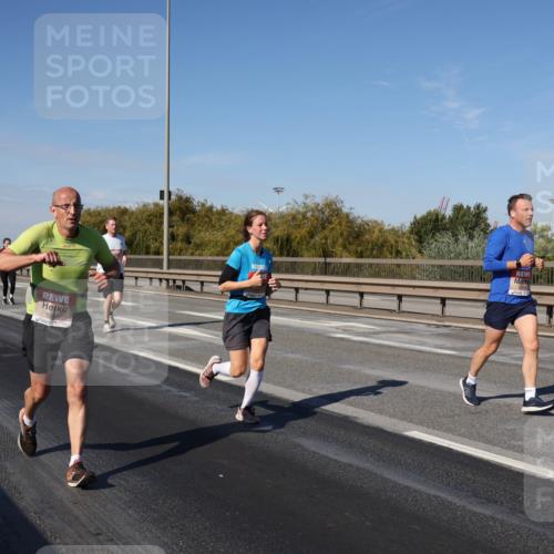 03.10.2025 - Köhlbrandbrückenlauf Julia Fischer http://msf.ph/oto/9011417 03.10.2025 12:59:28 Position 3  meine-sportfotos.de