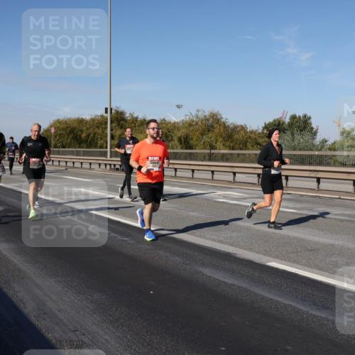 03.10.2025 - Köhlbrandbrückenlauf Julia Fischer http://msf.ph/oto/9011558 03.10.2025 13:00:02 Position 3  meine-sportfotos.de