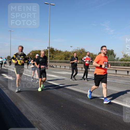 03.10.2025 - Köhlbrandbrückenlauf Julia Fischer http://msf.ph/oto/9011564 03.10.2025 13:00:03 Position 3  meine-sportfotos.de