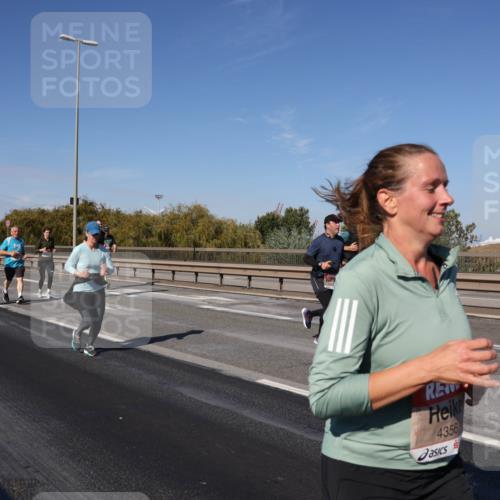 03.10.2025 - Köhlbrandbrückenlauf Julia Fischer http://msf.ph/oto/9011596 03.10.2025 13:00:09 Position 3 4356 meine-sportfotos.de