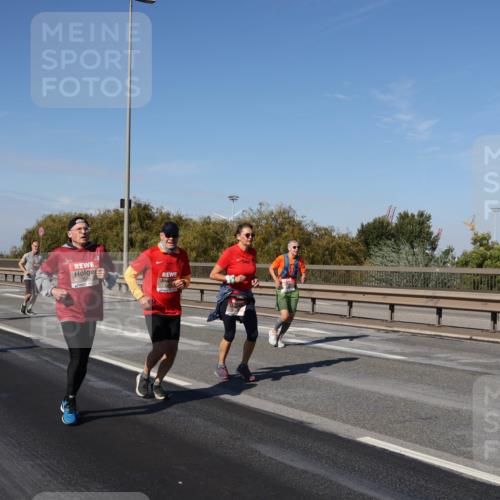03.10.2025 - Köhlbrandbrückenlauf Julia Fischer http://msf.ph/oto/9011662 03.10.2025 13:00:22 Position 3  meine-sportfotos.de