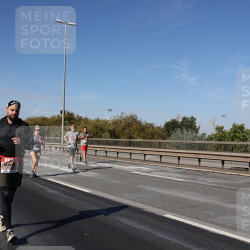 03.10.2025 - Köhlbrandbrückenlauf Julia Fischer http://msf.ph/oto/9011677 03.10.2025 13:00:25 Position 3 629 meine-sportfotos.de