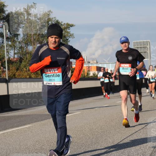 03.10.2025 - Köhlbrandbrückenlauf Luisa Fischer http://msf.ph/oto/9011679 03.10.2025 10:54:17 Position 3 2805, 1369 meine-sportfotos.de