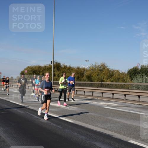 03.10.2025 - Köhlbrandbrückenlauf Julia Fischer http://msf.ph/oto/9011713 03.10.2025 13:00:32 Position 3  meine-sportfotos.de