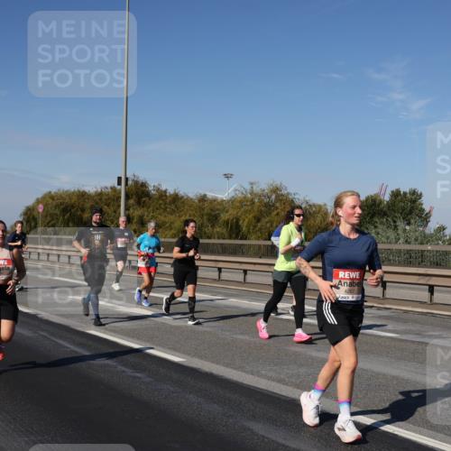 03.10.2025 - Köhlbrandbrückenlauf Julia Fischer http://msf.ph/oto/9011725 03.10.2025 13:00:34 Position 3 4267 meine-sportfotos.de