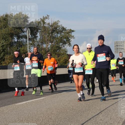 03.10.2025 - Köhlbrandbrückenlauf Luisa Fischer http://msf.ph/oto/9011748 03.10.2025 10:54:23 Position 3 1203, 2942, 1257 meine-sportfotos.de
