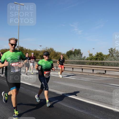 03.10.2025 - Köhlbrandbrückenlauf Julia Fischer http://msf.ph/oto/9011765 03.10.2025 13:00:41 Position 3 6623 meine-sportfotos.de