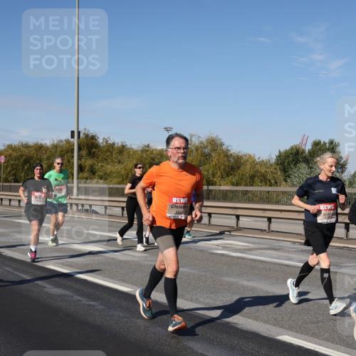 03.10.2025 - Köhlbrandbrückenlauf Julia Fischer http://msf.ph/oto/9011779 03.10.2025 13:00:44 Position 3 5525 meine-sportfotos.de