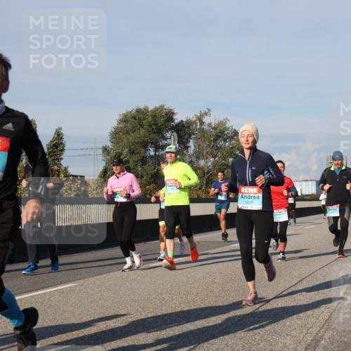 03.10.2025 - Köhlbrandbrückenlauf Luisa Fischer http://msf.ph/oto/9011816 03.10.2025 10:54:30 Position 3 2736, 1555 meine-sportfotos.de