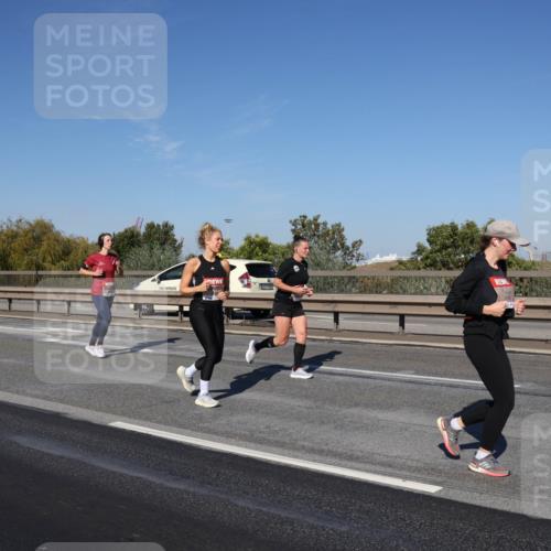 03.10.2025 - Köhlbrandbrückenlauf Julia Fischer http://msf.ph/oto/9011856 03.10.2025 13:00:59 Position 3  meine-sportfotos.de