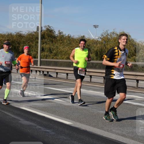 03.10.2025 - Köhlbrandbrückenlauf Julia Fischer http://msf.ph/oto/9011869 03.10.2025 13:01:05 Position 3  meine-sportfotos.de