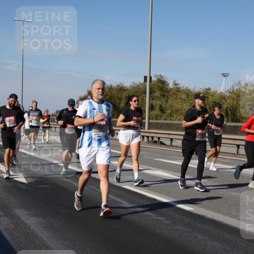 03.10.2025 - Köhlbrandbrückenlauf Julia Fischer http://msf.ph/oto/9011901 03.10.2025 13:01:09 Position 3 5815 meine-sportfotos.de