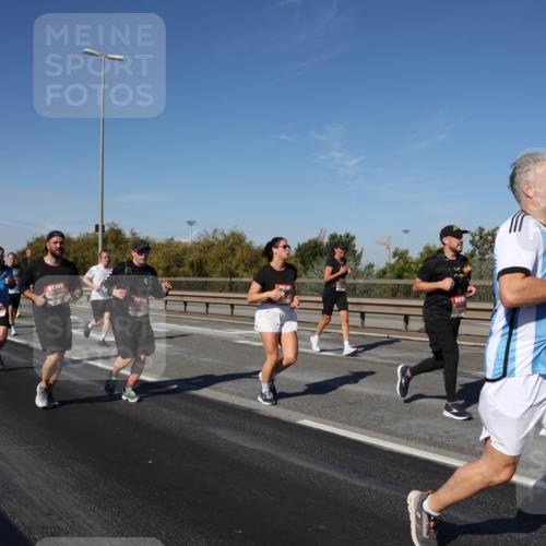 03.10.2025 - Köhlbrandbrückenlauf Julia Fischer http://msf.ph/oto/9011917 03.10.2025 13:01:11 Position 3 581 meine-sportfotos.de