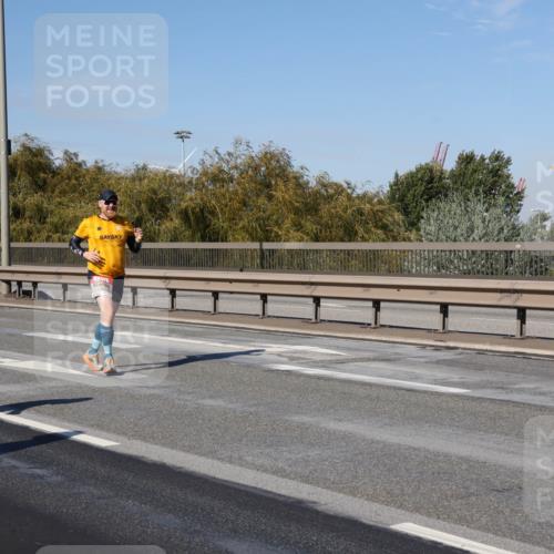 03.10.2025 - Köhlbrandbrückenlauf Julia Fischer http://msf.ph/oto/9011971 03.10.2025 13:01:23 Position 3  meine-sportfotos.de