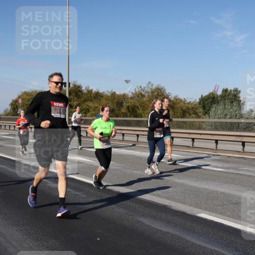 03.10.2025 - Köhlbrandbrückenlauf Julia Fischer http://msf.ph/oto/9011996 03.10.2025 13:01:28 Position 3 676 meine-sportfotos.de
