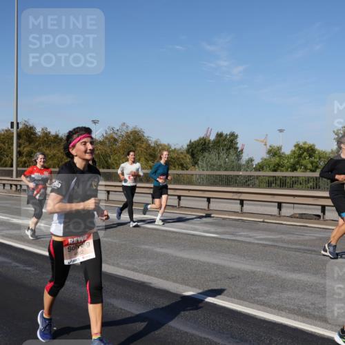 03.10.2025 - Köhlbrandbrückenlauf Julia Fischer http://msf.ph/oto/9012008 03.10.2025 13:01:30 Position 3 4682, 4620 meine-sportfotos.de