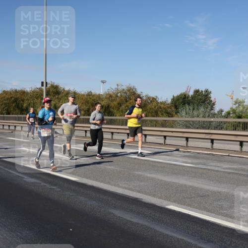 03.10.2025 - Köhlbrandbrückenlauf Julia Fischer http://msf.ph/oto/9012134 03.10.2025 13:01:51 Position 3 5385 meine-sportfotos.de