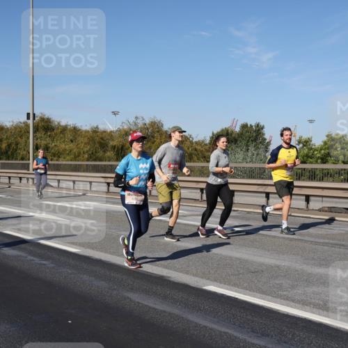 03.10.2025 - Köhlbrandbrückenlauf Julia Fischer http://msf.ph/oto/9012145 03.10.2025 13:01:52 Position 3 4333 meine-sportfotos.de