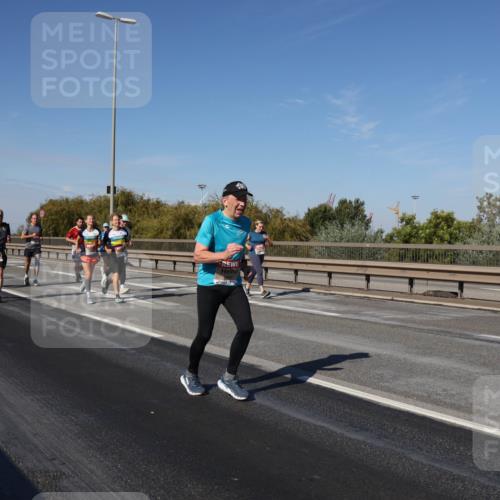 03.10.2025 - Köhlbrandbrückenlauf Julia Fischer http://msf.ph/oto/9012158 03.10.2025 13:01:55 Position 3  meine-sportfotos.de