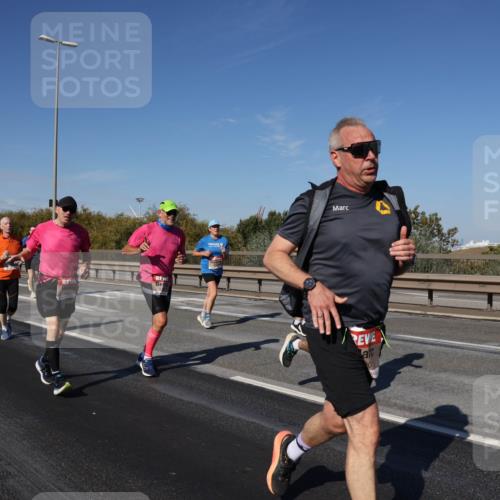 03.10.2025 - Köhlbrandbrückenlauf Julia Fischer http://msf.ph/oto/9012178 03.10.2025 13:01:59 Position 3  meine-sportfotos.de