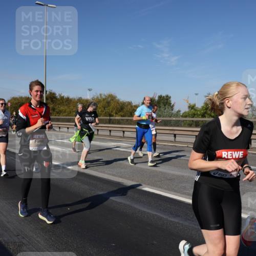 03.10.2025 - Köhlbrandbrückenlauf Julia Fischer http://msf.ph/oto/9012273 03.10.2025 13:02:23 Position 3  meine-sportfotos.de