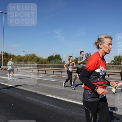03.10.2025 - Köhlbrandbrückenlauf Julia Fischer http://msf.ph/oto/9012375 03.10.2025 13:02:49 Position 3  meine-sportfotos.de