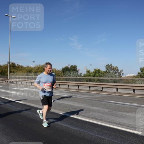 03.10.2025 - Köhlbrandbrückenlauf Julia Fischer http://msf.ph/oto/9012382 03.10.2025 13:02:50 Position 3 4889 meine-sportfotos.de
