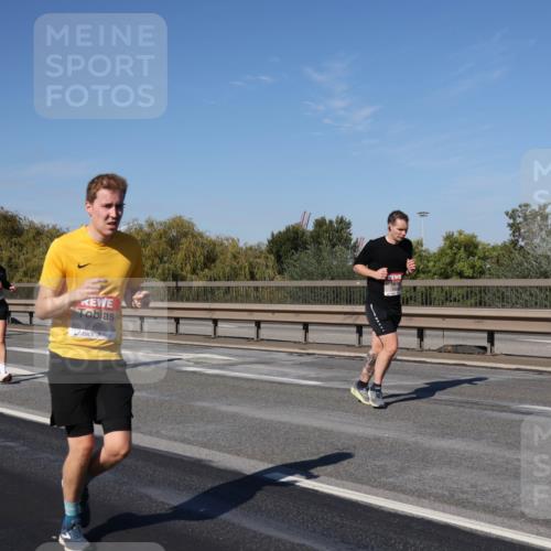 03.10.2025 - Köhlbrandbrückenlauf Julia Fischer http://msf.ph/oto/9012412 03.10.2025 13:02:57 Position 3 4565 meine-sportfotos.de