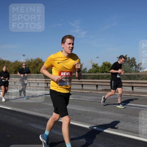 03.10.2025 - Köhlbrandbrückenlauf Julia Fischer http://msf.ph/oto/9012414 03.10.2025 13:02:58 Position 3 4565 meine-sportfotos.de