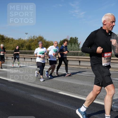 03.10.2025 - Köhlbrandbrückenlauf Julia Fischer http://msf.ph/oto/9012559 03.10.2025 13:03:23 Position 3 5449 meine-sportfotos.de