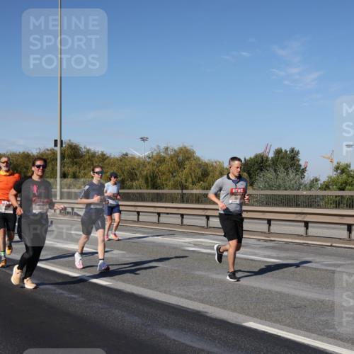 03.10.2025 - Köhlbrandbrückenlauf Julia Fischer http://msf.ph/oto/9012584 03.10.2025 13:03:30 Position 3  meine-sportfotos.de
