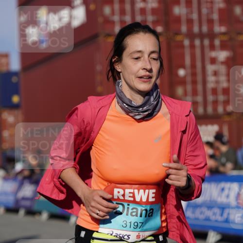 03.10.2025 - Köhlbrandbrückenlauf Michael Burmester http://msf.ph/oto/9012734 03.10.2025 10:13:08 Ziel 1388, 3146, 3186, 3197, 3375, 3691, 3798 meine-sportfotos.de