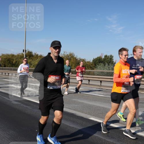 03.10.2025 - Köhlbrandbrückenlauf Julia Fischer http://msf.ph/oto/9012796 03.10.2025 13:04:09 Position 3 4779 meine-sportfotos.de