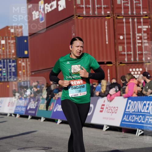 03.10.2025 - Köhlbrandbrückenlauf Michael Burmester http://msf.ph/oto/9012815 03.10.2025 10:13:12 Ziel 1181, 1191, 1227, 1260, 1388, 1621, 3186, 3601, 3798 meine-sportfotos.de