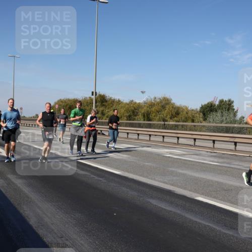 03.10.2025 - Köhlbrandbrückenlauf Julia Fischer http://msf.ph/oto/9012982 03.10.2025 13:04:46 Position 3  meine-sportfotos.de