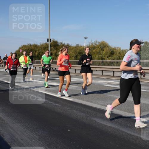 03.10.2025 - Köhlbrandbrückenlauf Julia Fischer http://msf.ph/oto/9013070 03.10.2025 13:05:05 Position 3  meine-sportfotos.de