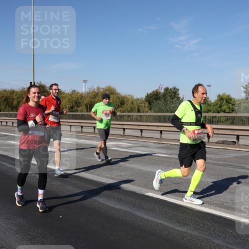 03.10.2025 - Köhlbrandbrückenlauf Julia Fischer http://msf.ph/oto/9013121 03.10.2025 13:05:15 Position 3  meine-sportfotos.de