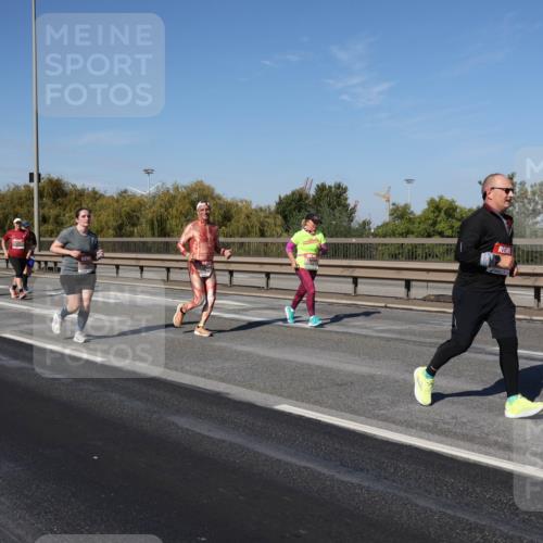 03.10.2025 - Köhlbrandbrückenlauf Julia Fischer http://msf.ph/oto/9013165 03.10.2025 13:05:24 Position 3  meine-sportfotos.de