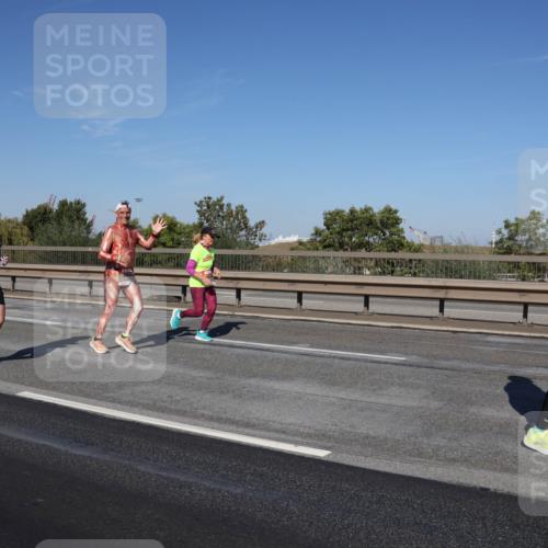 03.10.2025 - Köhlbrandbrückenlauf Julia Fischer http://msf.ph/oto/9013166 03.10.2025 13:05:26 Position 3  meine-sportfotos.de