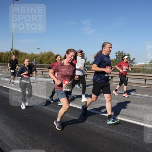 03.10.2025 - Köhlbrandbrückenlauf Julia Fischer http://msf.ph/oto/9013184 03.10.2025 13:05:29 Position 3 5167 meine-sportfotos.de