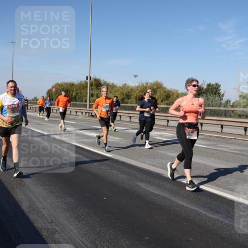 03.10.2025 - Köhlbrandbrückenlauf Julia Fischer http://msf.ph/oto/9013351 03.10.2025 13:06:03 Position 3  meine-sportfotos.de