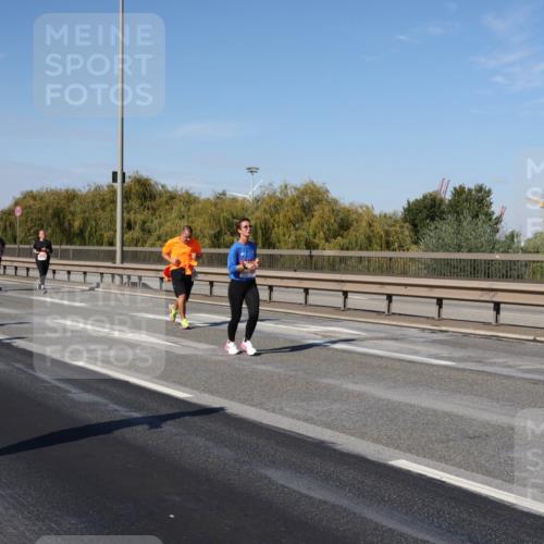 03.10.2025 - Köhlbrandbrückenlauf Julia Fischer http://msf.ph/oto/9013375 03.10.2025 13:06:08 Position 3 4589 meine-sportfotos.de