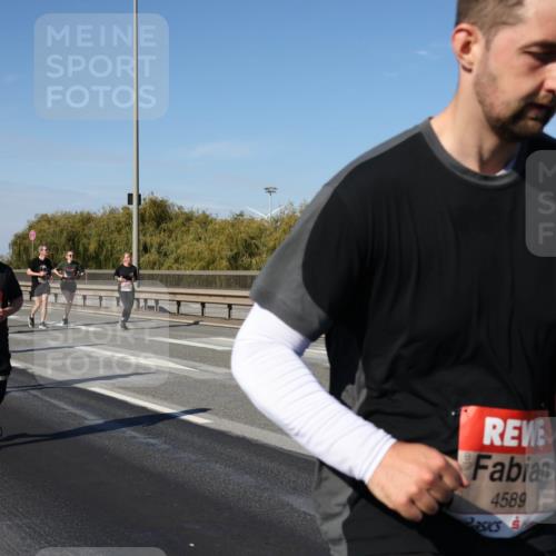 03.10.2025 - Köhlbrandbrückenlauf Julia Fischer http://msf.ph/oto/9013388 03.10.2025 13:06:10 Position 3 5361, 4589 meine-sportfotos.de
