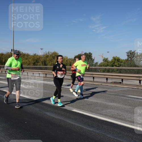 03.10.2025 - Köhlbrandbrückenlauf Julia Fischer http://msf.ph/oto/9013498 03.10.2025 13:06:31 Position 3  meine-sportfotos.de