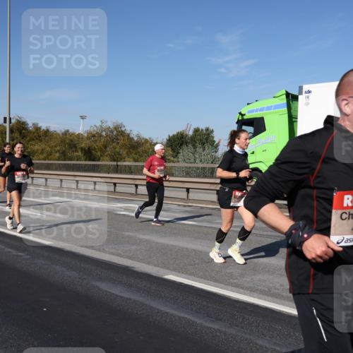 03.10.2025 - Köhlbrandbrückenlauf Julia Fischer http://msf.ph/oto/9013762 03.10.2025 13:07:15 Position 3 4903 meine-sportfotos.de