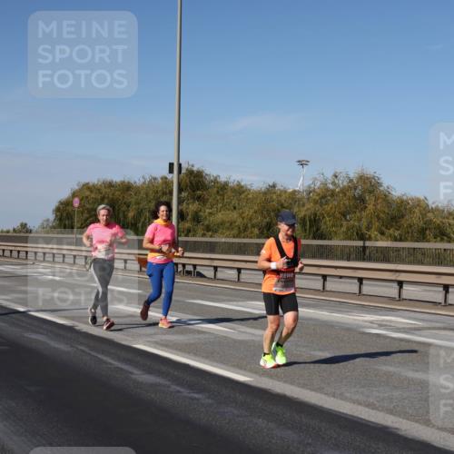 03.10.2025 - Köhlbrandbrückenlauf Julia Fischer http://msf.ph/oto/9013870 03.10.2025 13:07:38 Position 3  meine-sportfotos.de