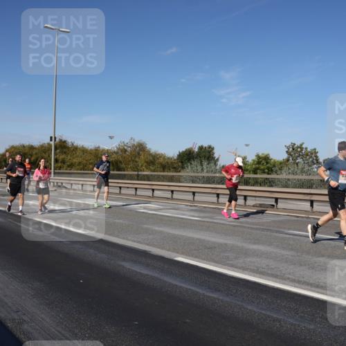 03.10.2025 - Köhlbrandbrückenlauf Julia Fischer http://msf.ph/oto/9013968 03.10.2025 13:07:59 Position 3  meine-sportfotos.de